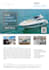 design professional e brochure, flyers, posters, and other marketing material