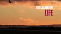 make a stunning animated lyric music video for your song
