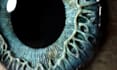 make 3d monsters for games and films