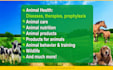 write professional german animal content