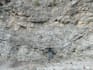 do projects related to geology and geography
