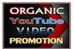 do youtube video SEO, video promotion and distribution