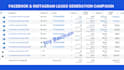 be your facebook ads campaign manager, fb advertisement designer