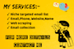 collect niche targeted email list using javascript