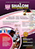 design a promotional flyer that attracts