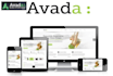do full customize your website using avada theme