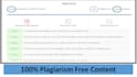 provide plagiarism free search engine optimized writing content