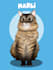 draw your pets into cartoon
