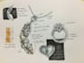 make  concept,sketch and design for jewelry