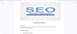 website SEO audit and create a detailed report for your site
