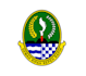design excellent super coats of arms logo with free source file