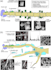 proofread research articles in biotechnology efficiently