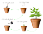 instruction manual design and illustrate clean and simple