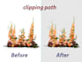clipping path and cutout background removal service