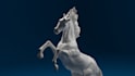 make premium 3d cgi ads  realistic product animation