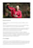 write SEO friendly sports content