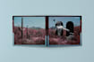 design eye catching album or single cover art