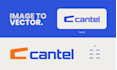 redraw, refine, and vectorize your logo