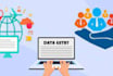 do fastest accurate data entry, data typing in 2 hours