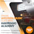 build website, business website designs and custom website development