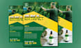 design stunning business flyers