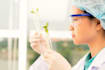 write articles on biology, plant and nutrition sciences