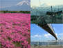 help you plan a trip to Japan