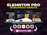 develop, debug, and customize your wordpress website professionally
