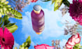 edit product photos, photo manipulation, recoloring