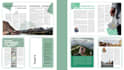 design stylish magazine, layout in indesign