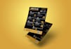 design a flyer, professional quality custom flyer and infographics