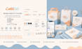 create professional brand guidelines and brand book