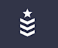 design creative beautiful military logo for you