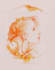 create hand draw pencil illustration