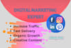 be your social media manager and grow your business