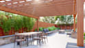 3d landscape, backyard, garden design with 3d render