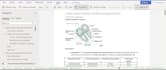 provide human physiology lecture notes