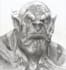 draw your rpgs character portrait