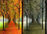 background removol colouriz colour change