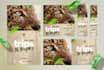 create premium quality web banner designs for you