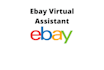 be your expert ebay virtual assistant, ebay VA