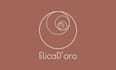 design a professional minimalist logo