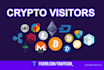 provide crypto and nft niche organic search website traffic