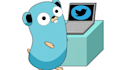 create python or golang bots, scripts, automation