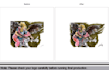 do vector tracing, raster to vector, high resolution picture