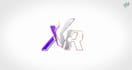 create vibrant and unique custom logo animation