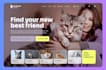 design a high end website ui ux for your business in figma