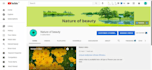 professionally create, setup and design your youtube channel