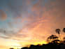 give nature and natural images