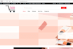 provide web development services